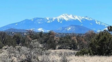 mtnsnowshot