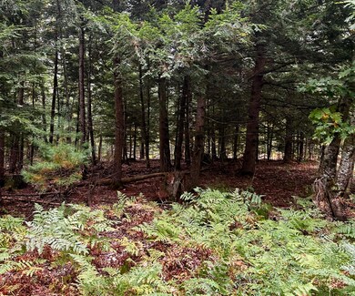 0 Father Rasle Rd, Norridgewock, ME 04957 - photo 3