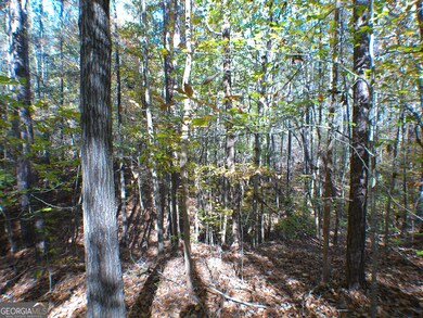 0 Dusty Rd unit 10569563, Bowman, GA 30624 - photo 7