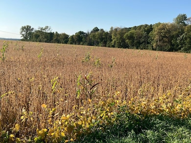 TBD Keystone Ave, North Branch, MN 55056 - photo 4