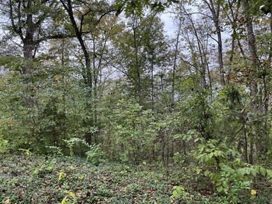 Lot 20 Rabbit Run, Flat Creek A Township, MO 65624 - photo 4