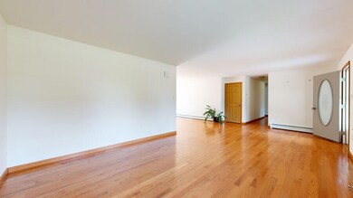 Front Entry & Living Room