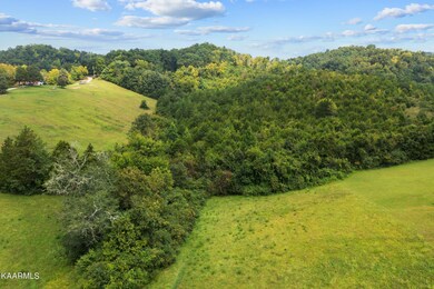 DJI_0239.jpg-SMALL
