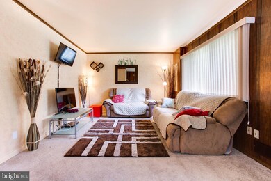 3802 Joshua Place unit A, Alexandria, VA 22309 - photo 4