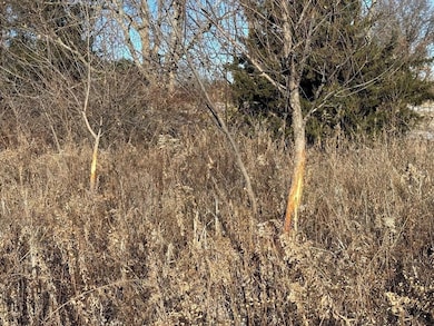 TBD Hwy Dd Hwy, Gallatin, MO 64640 - photo 6