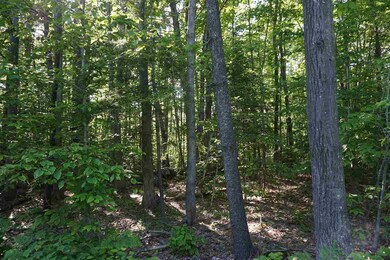 00 Whittier Hwy unit Lot 29B, Center Sandwich, NH 03227 - photo 2