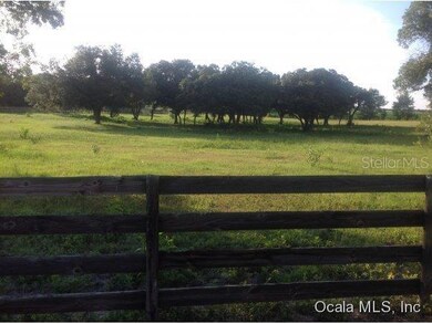 20991 SE 80th St, Morriston, FL 32668 - photo 5