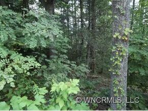 Lots 5,7 Corn Mtn Rd, Hendersonville, NC 28792 - photo 6