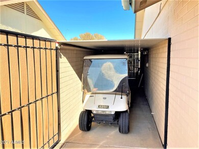 Golf Cart Storage Monte