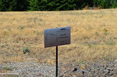 L2 B9 S Kapalua Rd, Harrison, ID 83833 - photo 2