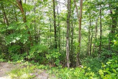 Lot 4 Enclave Park Way, Gatlinburg, TN 37738 - photo 2