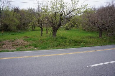 Land View1