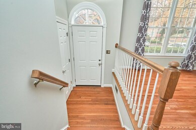 3647 Ransom Place, Alexandria, VA 22306 - photo 3