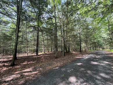 Lot 45 Annie Oakley Aly, Paradise Township, PA 18332 - photo 6