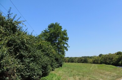 01 S Scruggs, Frankfort, KY 40601 - photo 6