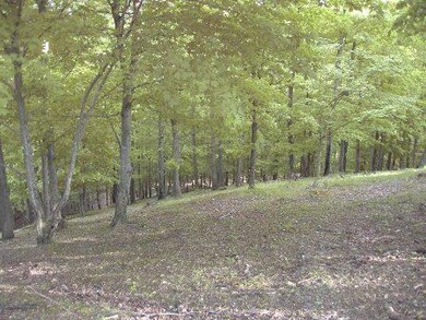 0 SUGAR TREE KNOB ROAD, LIBERTY, TN 37095