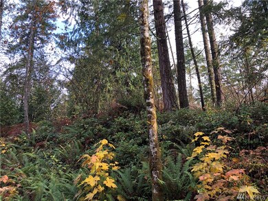 0 Bald Hills Rd SE unit 1686239, Yelm, WA 98989 - photo 4