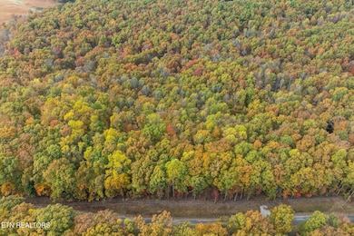 4-web-or-mls-461 E Cove Rd, Monterey_037