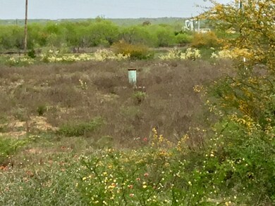 0 Farm To Market Road 468, Cotulla, TX - photo 4