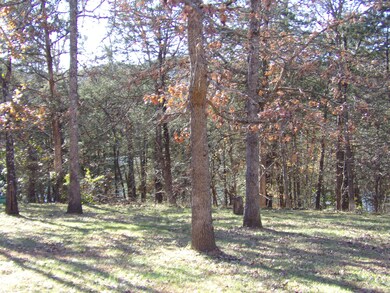 000 Montego Dr, Ruth B Rural Township, MO 65686 - photo 4