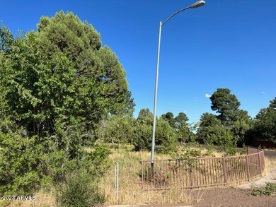 600 S Reynolds Ln unit 51, Show Low, AZ 85901 - photo 4