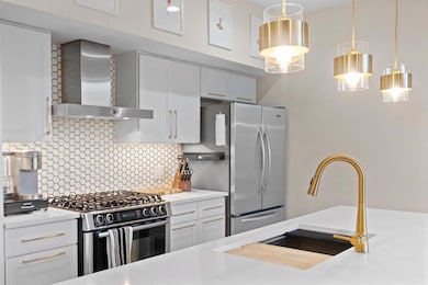 Barton Place unit 4205, Austin, TX 78704 - photo 4