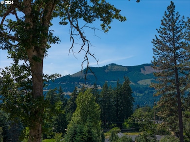 0 Painted Sky Ln unit 3 24266386, White Salmon, WA 98672 - photo 7