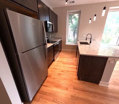 2100 W 18th Place unit 201, Chicago, IL 60608 - photo 6