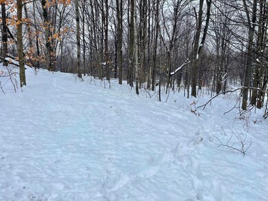 VL W Grant Rd, Shelby, MI 49455 - photo 6