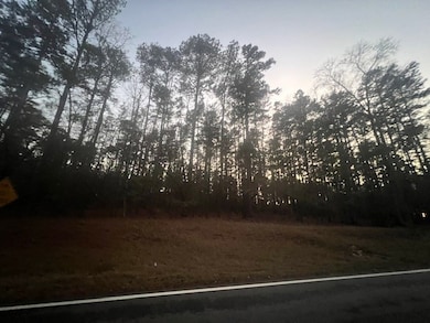 000 S Rock Island Dr, Eatonton, GA 31024 - photo 5