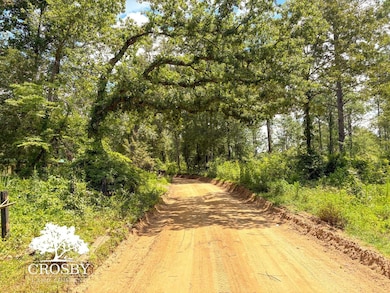 0 Hollow Creek Farm Rd, Aiken, SC 29803 - photo 6