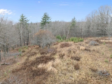 00 Contro Rd, Chester, VT 05143 - photo 2