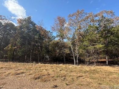 38 Summer Sky Dr, Greenbrier, AR 72058 - photo 2