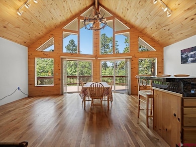 55 Valley View Rd, Ridgway, CO 81432 - photo 6