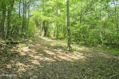 Trailhead