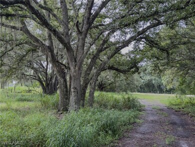 4932 Loblolly Bay Rd SW, Labelle, FL 33935 - photo 4