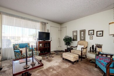 Bright, Airy Living Room