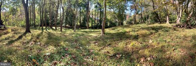 6679 Old Solomons Island Rd, Friendship, MD 20758 - photo 7