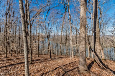 2738 W Gallaher Ferry Rd, Knoxville, TN 37932 - photo 6