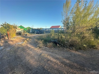 1705 Presidio Cir W, Alamo, TX 78516 - photo 4