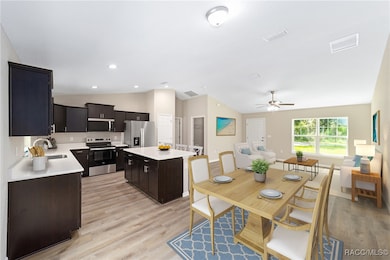 8439 N Lily Dr, Dunnellon, FL 34434 - photo 5