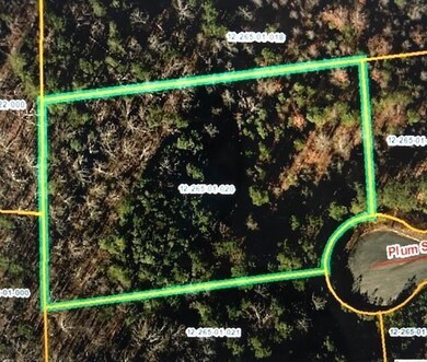 Lot 20 Plum St, Rocky Face, GA 30740 - photo 6