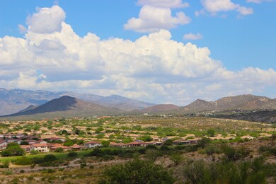 Scenic View