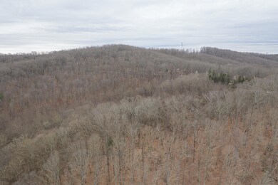 2708 W Gallaher Ferry Rd, Knoxville, TN 37932 - photo 4