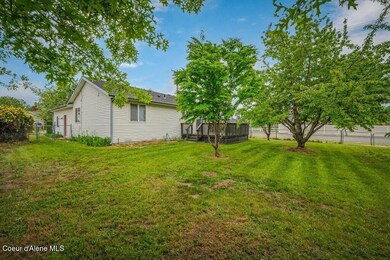 Large Backyard
