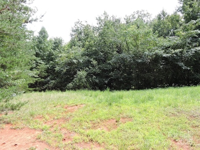 2065 Skyuka Rd, Columbus, NC 28722 - photo 6