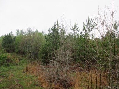 D3 Sunset Pasture Ln, New Kent, VA 23141 - photo 4