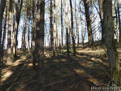 Tract L-12 Panorama Dr, Todd, NC 28684 - photo 7
