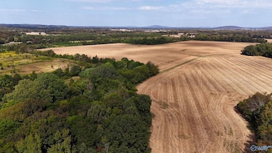 26 Vaughn Rd, Arab, AL 35754 - photo 2