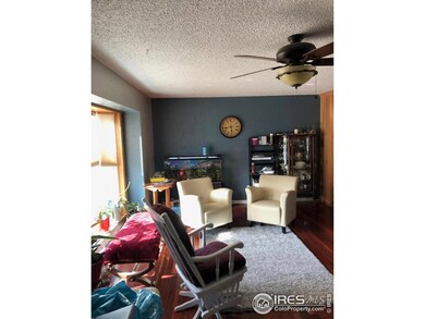 13049 Steele Dr, Thornton, CO 80241 - photo 5